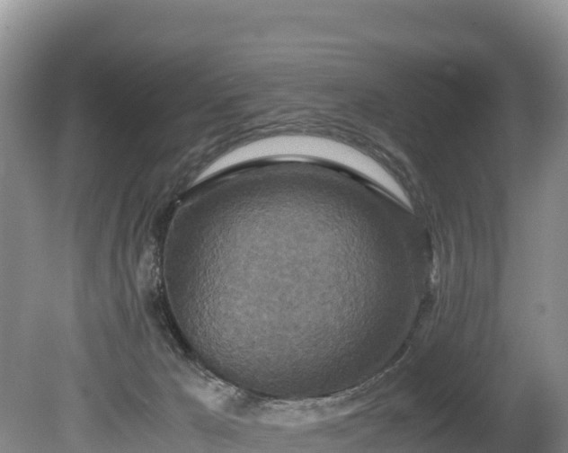 X0000080680029200612221154