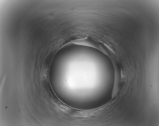 X0000080680033200612221154