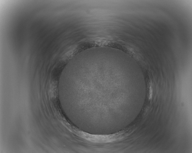 X0000080680034200612221154