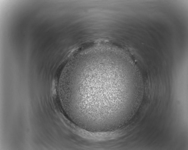 X0000080680038200612221154