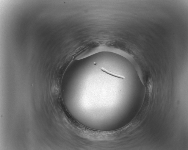 X0000080680040200612221154