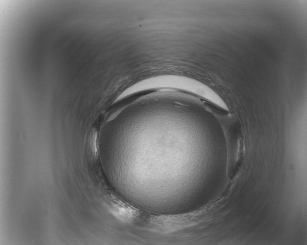 X0000080680041200612221154