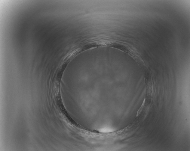 X0000080680043200612221154