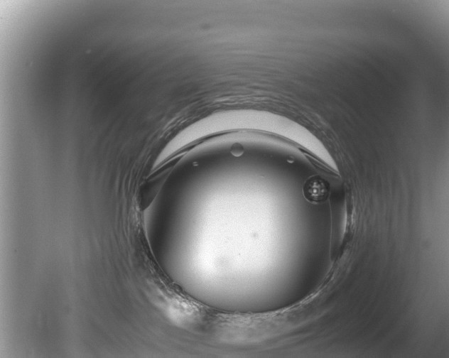 X0000080680045200612221154