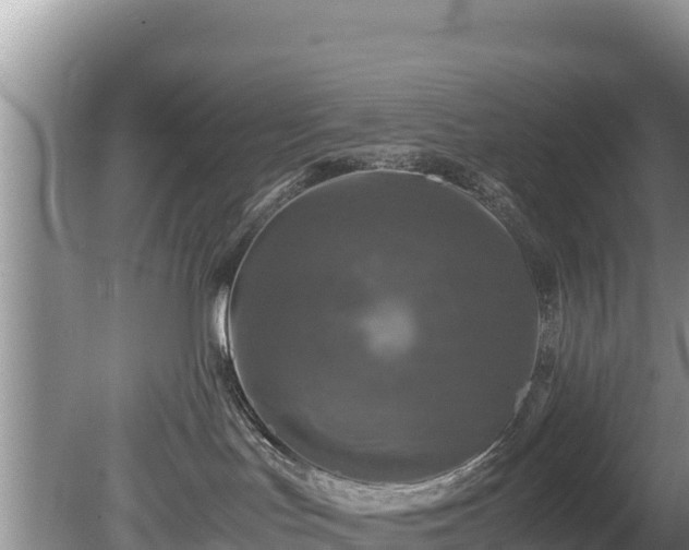 X0000080680047200612221154