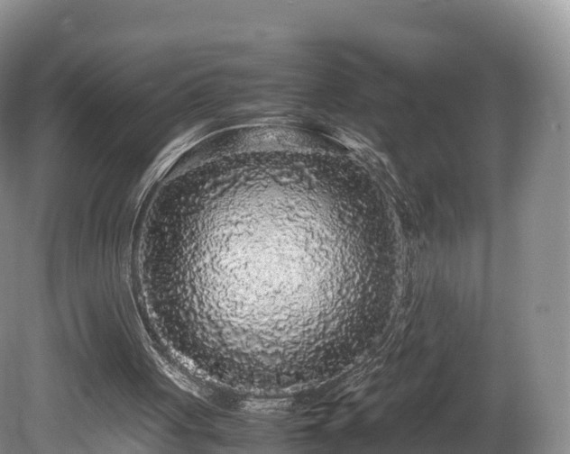 X0000080680051200612221153