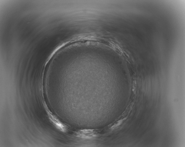 X0000080680052200612221153