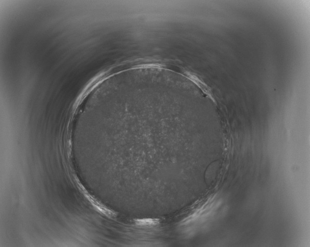 X0000080680053200612221153