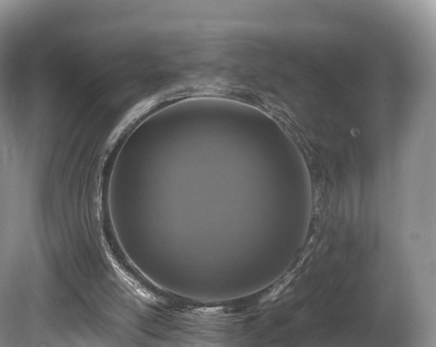 X0000080680054200612221153