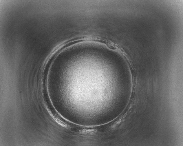 X0000080680055200612221153