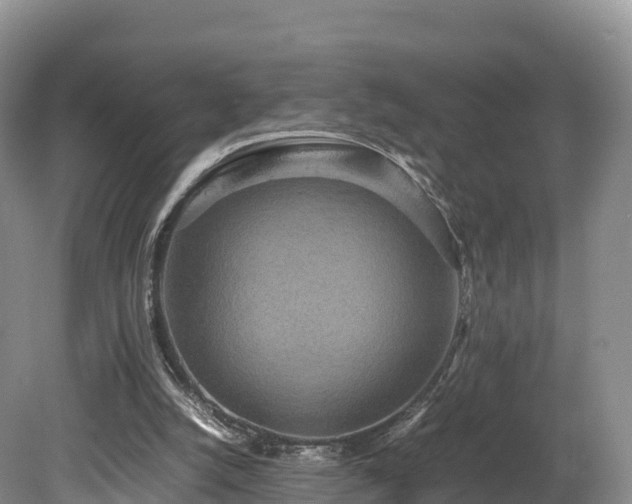X0000080680056200612221153