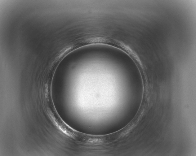 X0000080680057200612221153