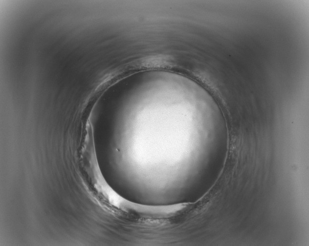 X0000080680063200612221153