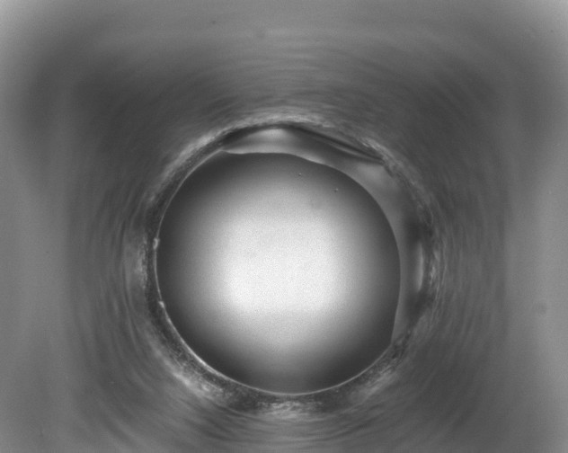 X0000080680064200612221153