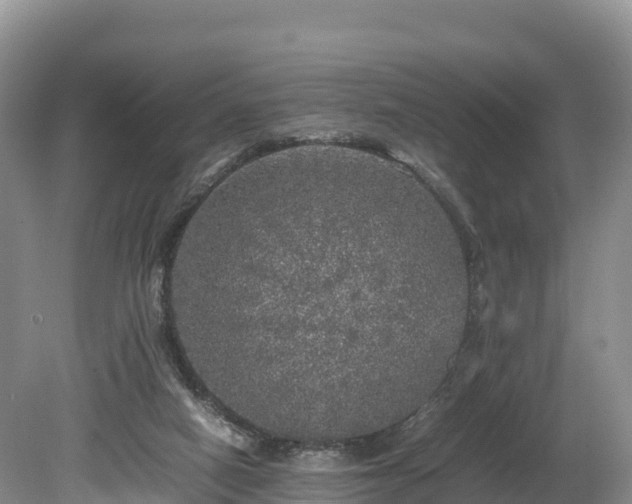 X0000080680066200612221153