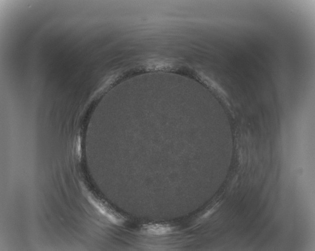 X0000080680067200612221153