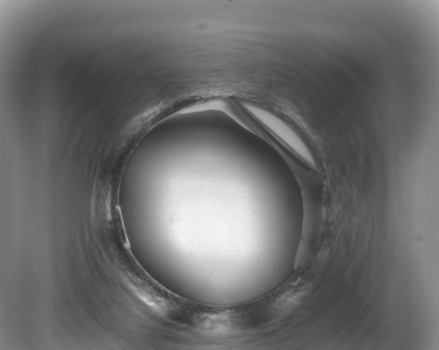 X0000080680068200612221153