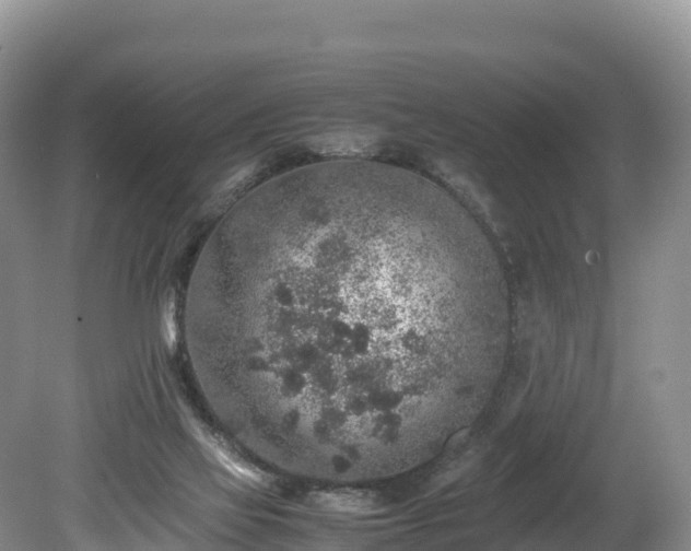 X0000080680069200612221153