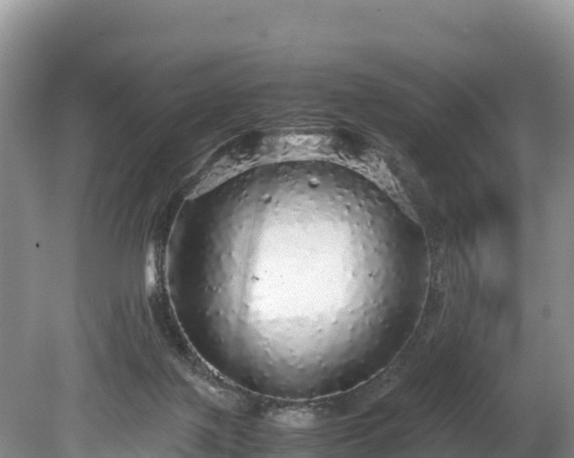 X0000080680075200612221153