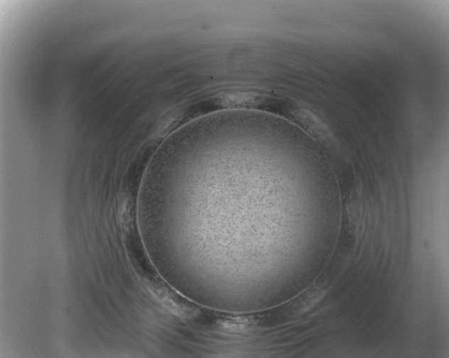 X0000080680079200612221153