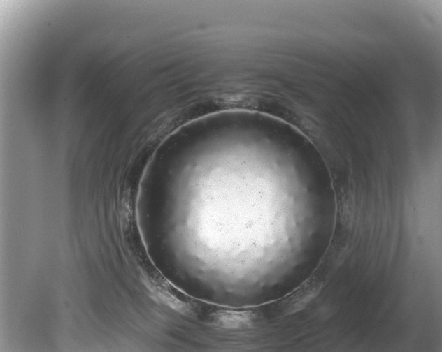 X0000080680085200612221154