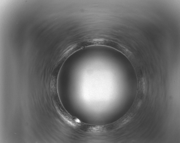 X0000080680092200612221154