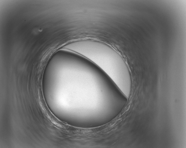 X0000080680097200612221153