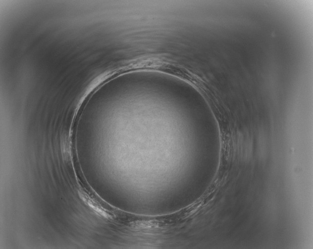 X0000080680100200612221153