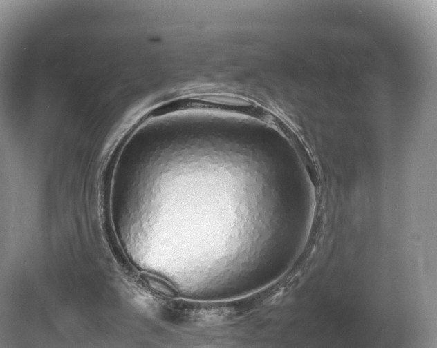 X0000080680103200612221153