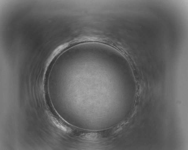 X0000080680104200612221153