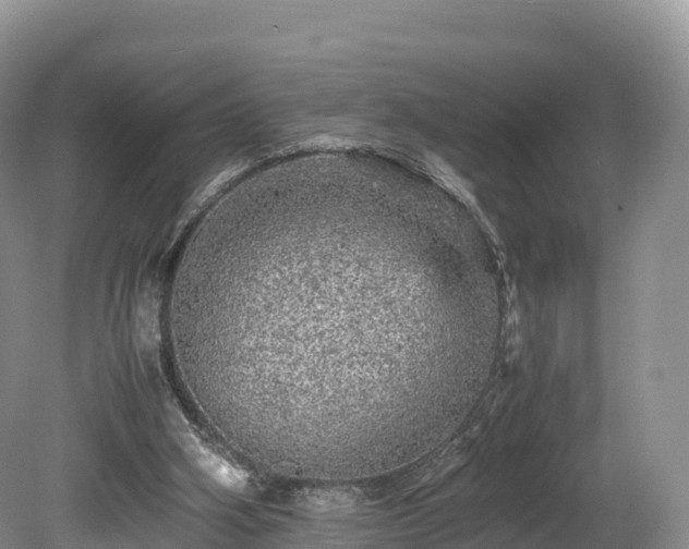 X0000080680106200612221153