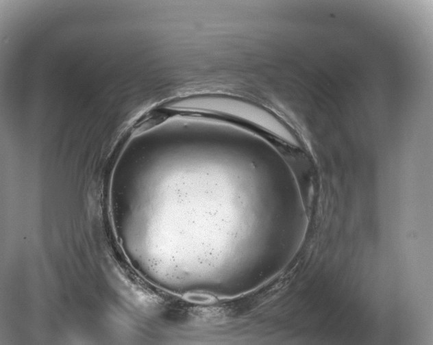 X0000080680107200612221153