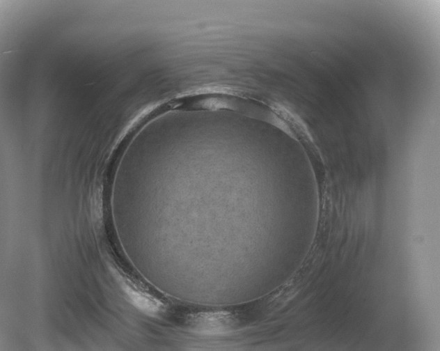 X0000080680108200612221153