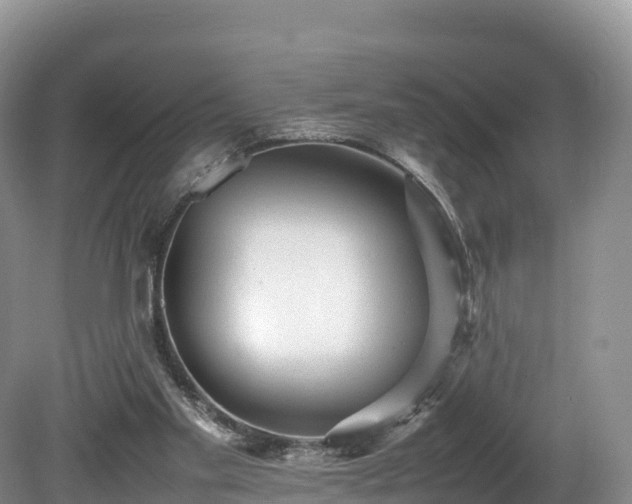 X0000080680109200612221153