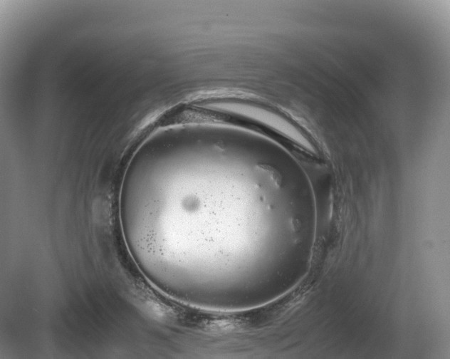 X0000080680111200612221153