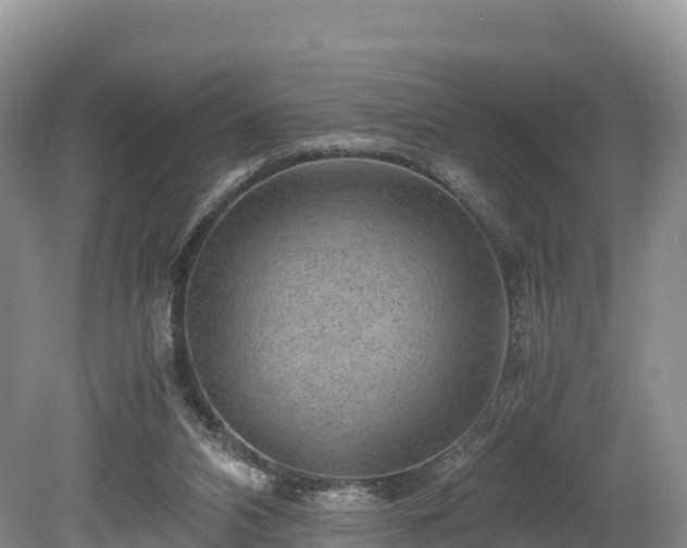 X0000080680112200612221153