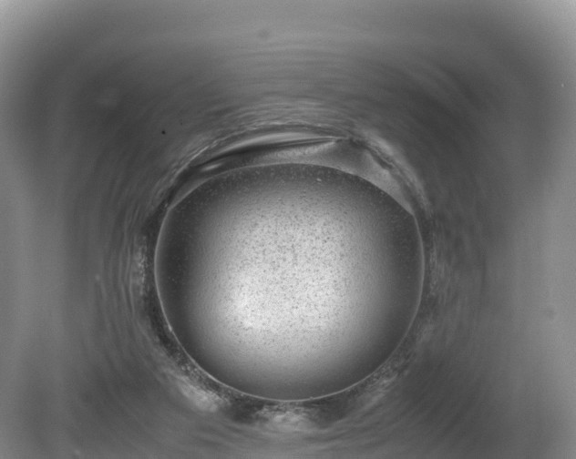 X0000080680113200612221153