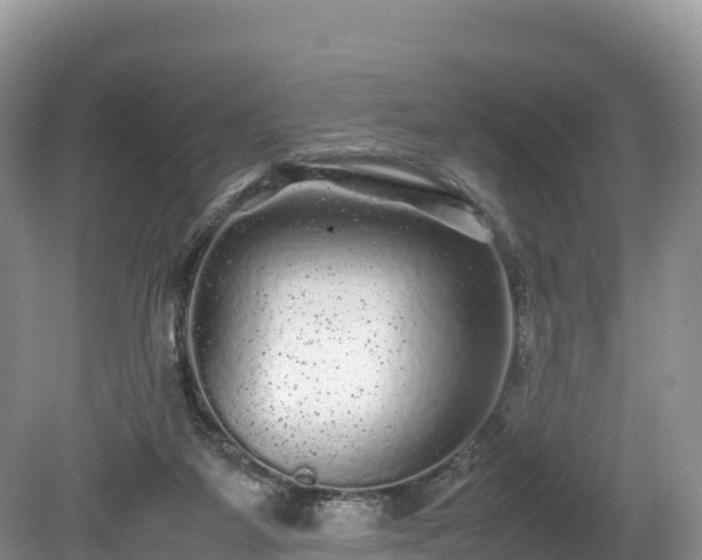 X0000080680115200612221153