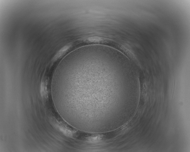 X0000080680116200612221153