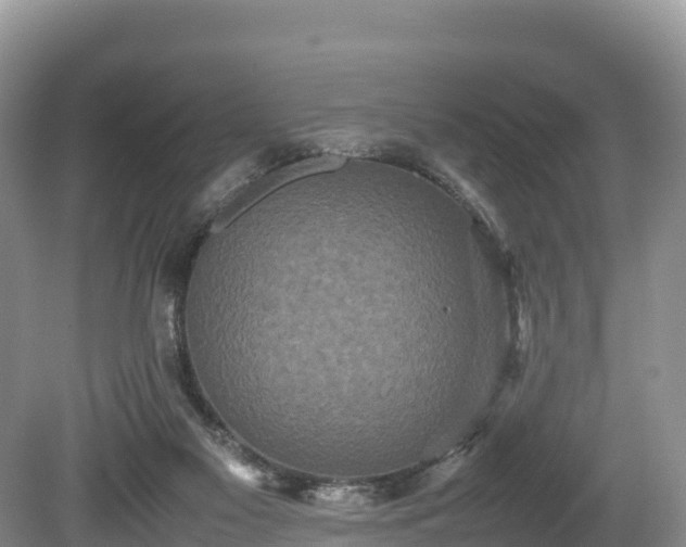 X0000080680117200612221153