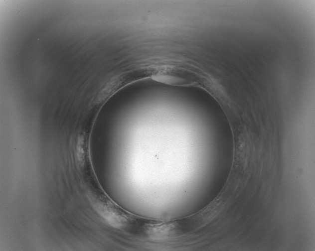 X0000080680122200612221152