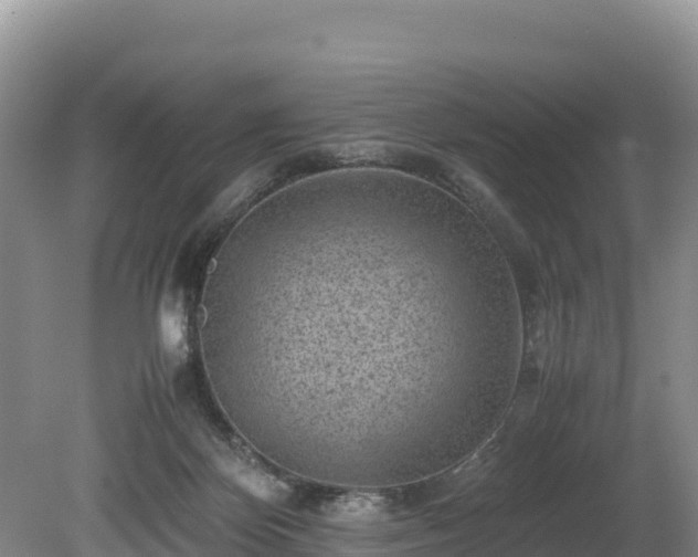 X0000080680124200612221152