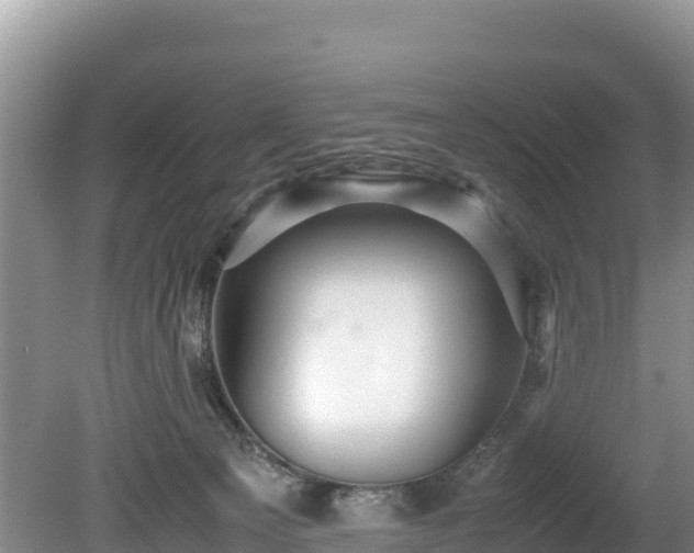 X0000080680129200612221152