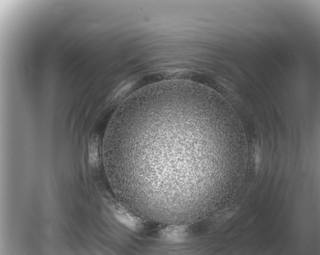 X0000080680138200612221152