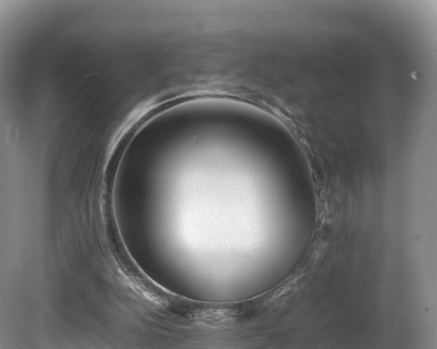 X0000080680152200612221151