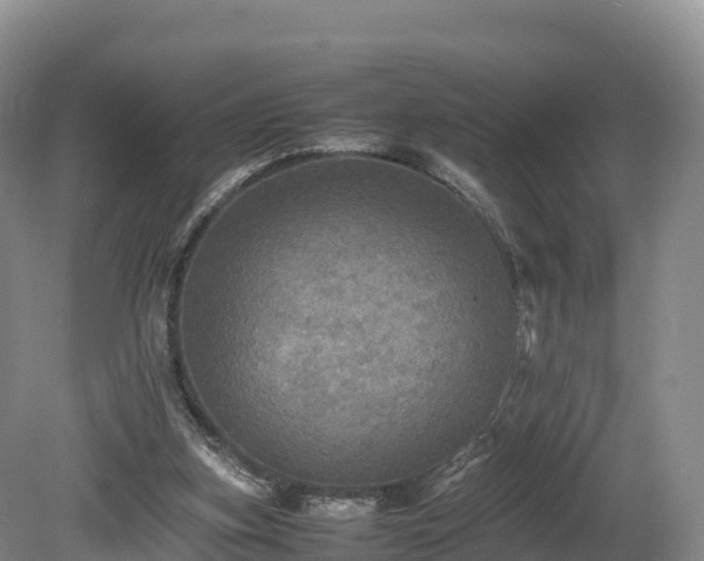 X0000080680155200612221151