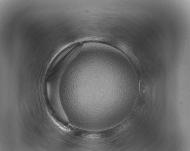 X0000080680156200612221151