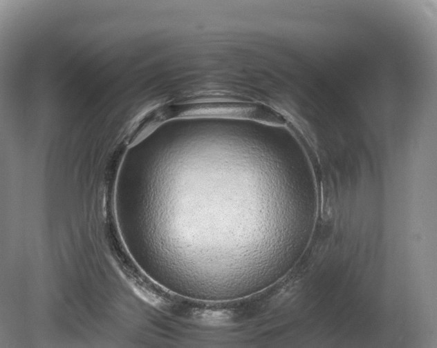 X0000080680157200612221151