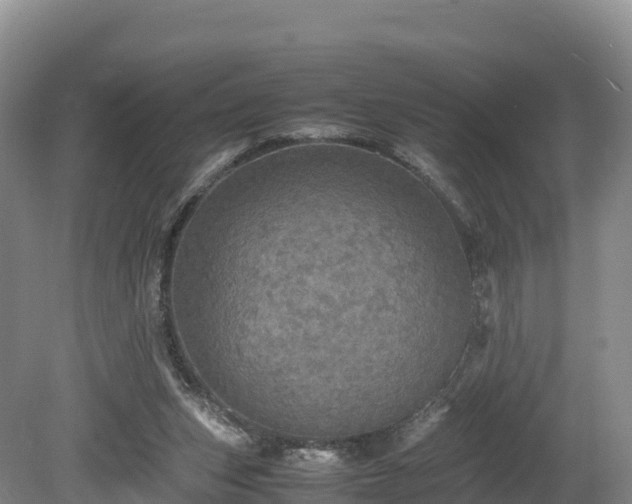 X0000080680159200612221152