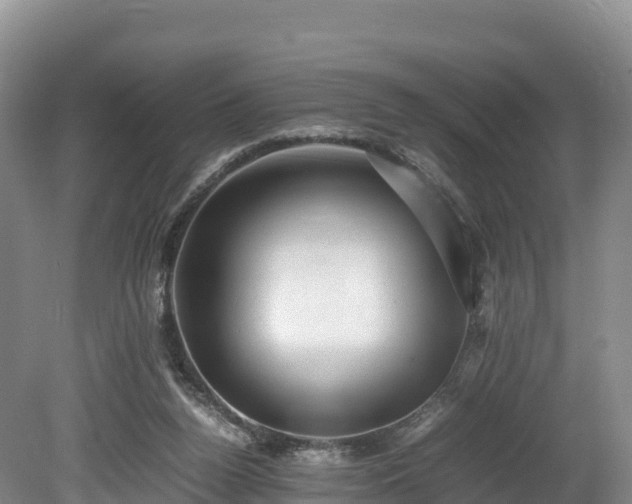X0000080680160200612221152